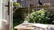 Wat het betekent als je overdag vogels hoort zingen in huis of in de tuin