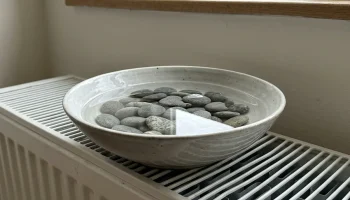 Droge lucht in maart: de simpele truc voor meer comfort zonder luchtbevochtiger